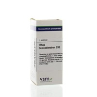 VSM VSM Rhus toxicodendron C30 (4 gr)