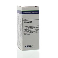 VSM VSM Kieselsäure 30K (4 gr)