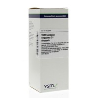 VSM VSM Solidago virgaurea D1 (50 Ml)