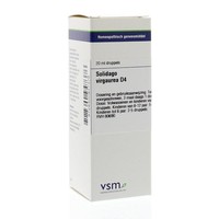 VSM VSM Solidago virgaurea D4 (20 ml)
