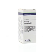 VSM VSM Solidago virgaurea D6 (10 gr)