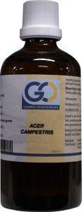 GO GO Acer campestris bio (100 ml)