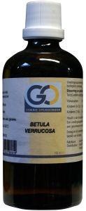 GO GO Betula verrucosa bio (100 ml)