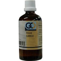 GO GO Ficus carica bio (100 Ml)