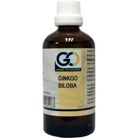 GO GO Ginkgo biloba bio (100 Ml)