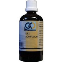 GO GO Ilex aquafolium (100 ml)