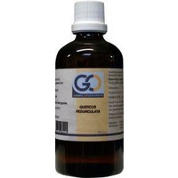 GO GO Quercus pedunculata Bio (100 ml)