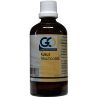 GO GO Rubus fruccosus bio (100 ml)