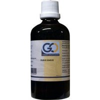 GO GO Rubus idaeus bio (100 Ml)