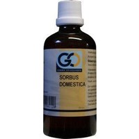 GO GO Sorbus Domestica Bio (100 Ml)