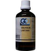 GO GO Viburnum lantana bio (100 ml)