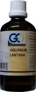 GO GO Viburnum lantana bio (100 Ml)