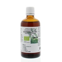 Natura Sanat Natura Sanat Achillea millefolium / Schafgarbe Tinktur bio (100 Ml)