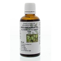 Natura Sanat Natura Sanat Alchemilla vulgaris / Frauenmantel-Tinktur (50 Ml)