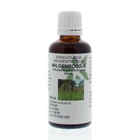 Natura Sanat Natura Sanat Epilobium angustifolium / Weidenröschen-Tinktur (50 Ml)