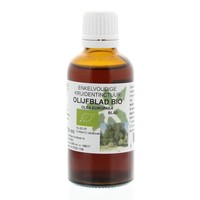Natura Sanat Natura Sanat Olea europaea folia / Olivenblatttinktur bio (50 Ml)
