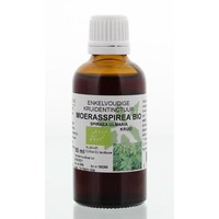 Natura Sanat Natura Sanat Spiraea ulmaria Kraut / Mädesüß Tinktur bio (50 Ml)
