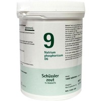 Pfluger Pfluger Natrium Phosphoricum 9 D6 Schussler (1000 Tab)
