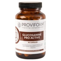 Proviform Proviform Glucosamin Proactive (90 Caps)