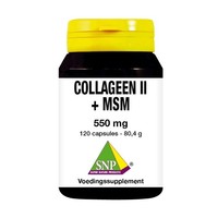 SNP SNP Kollagen II + MSM (120 Caps)