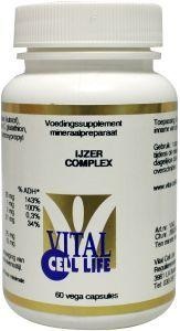 Vital Cell Life Eisenkomplex (60 Caps)