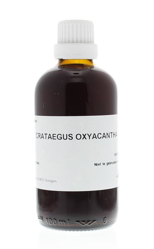 Homeoden Heel Homeoden Heel Crataegus oxyacantha Phyto (100 Ml)