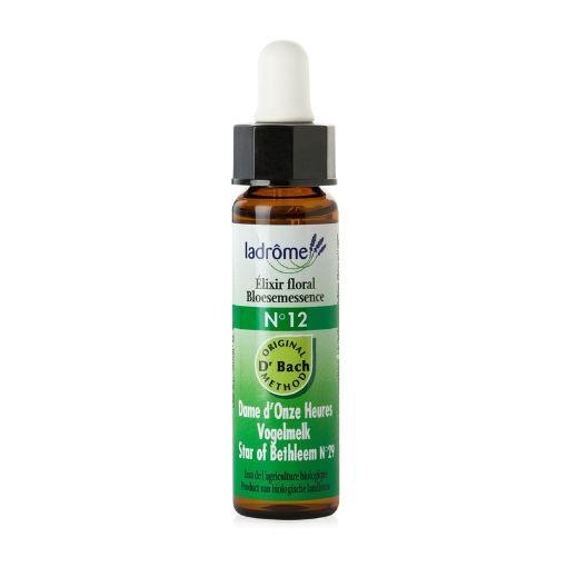 Ladrome Ladrome Stern von Bethlehem / Vogelmilch 12 bio (10 Ml)