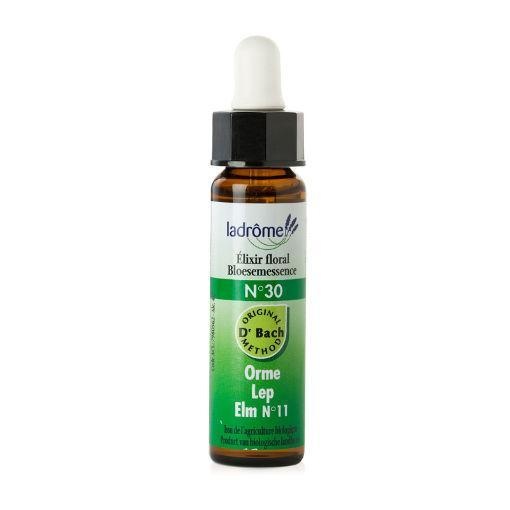 Ladrome Ladrome Ulme / Ulme 30 Bio (10 Ml)