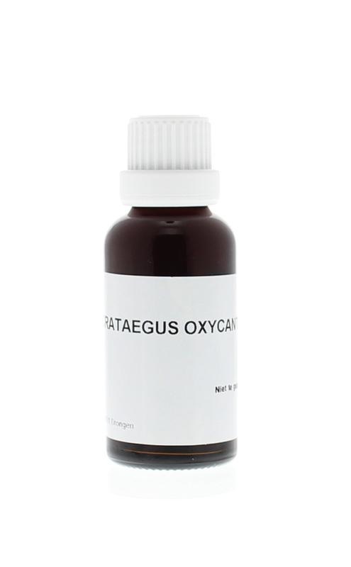 Homeoden Heel Crataegus oxyacantha Phyto (30 Ml)
