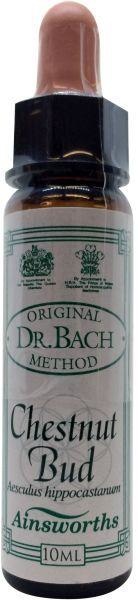 Ainsworths Ainsworths Kastanienknospen-Bach (10 Ml)