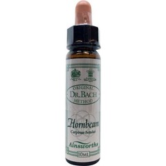 Ainsworths Hainbuchenbach (10 ml)