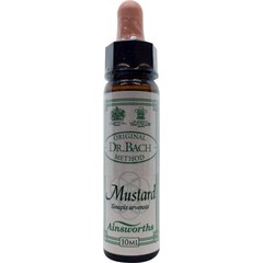 Ainsworths Senfbach (10ml)