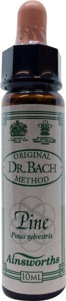 Ainsworths Pinienbach (10 Ml)