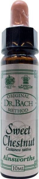 Ainsworths Edelkastanienbach (10 Ml)
