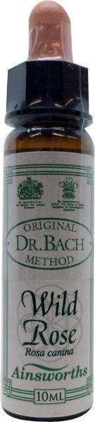 Ainsworths Wildrosenbach (10 Ml)
