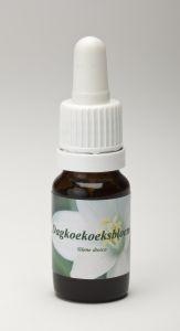 Star Remedies Tag Kuckucksmehl (10 Ml)