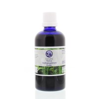 Nagel Nagel Curcumatinktur (100 Ml)
