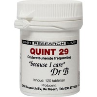 DNH DNH Quint 29 (120 Tab)