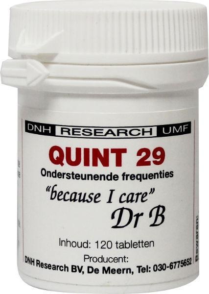 DNH Quint 29 (120 Tab)