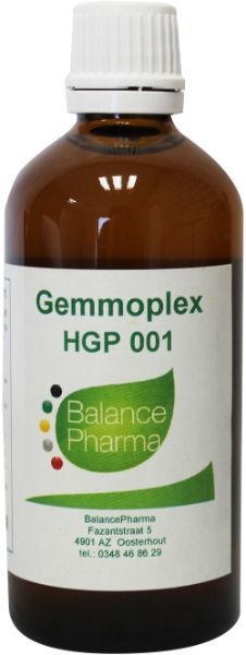 Balance Pharma HGP 001 Gemmoplex Nieren (100 Ml)