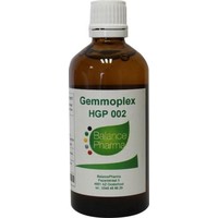 Balance Pharma Balance Pharma HGP002 Gemmoplex-Haut (100 ml)