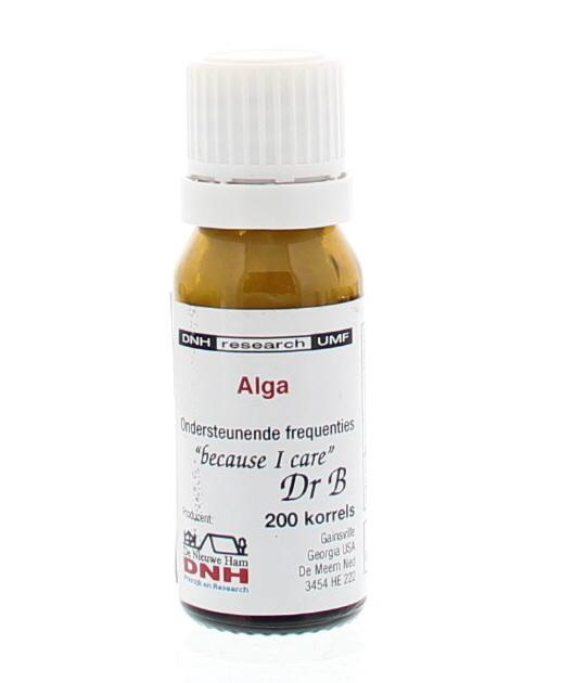 DNH Alge (200 Stück)