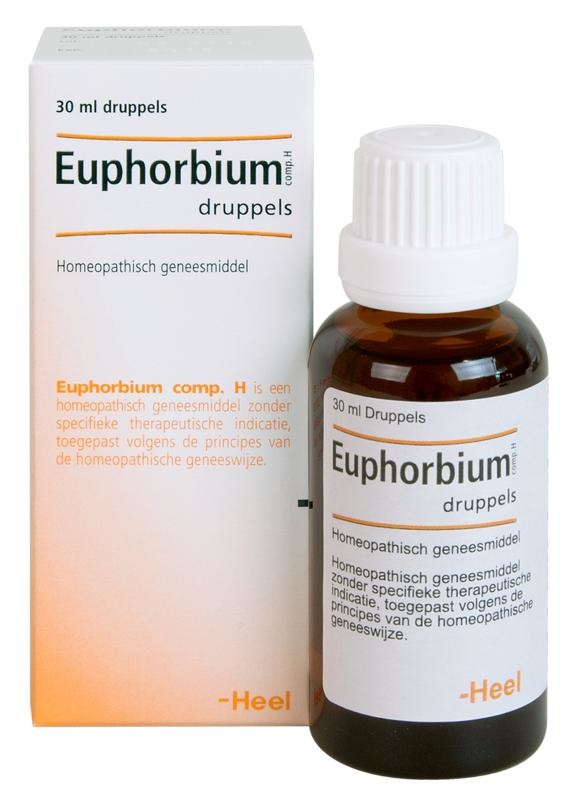 Heel Euphorbium compositum h (30 Ml)