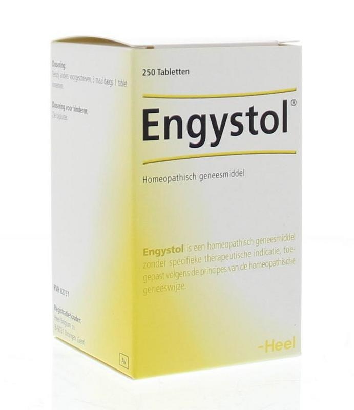 Heel Heel Engystol (250 Tabletten)