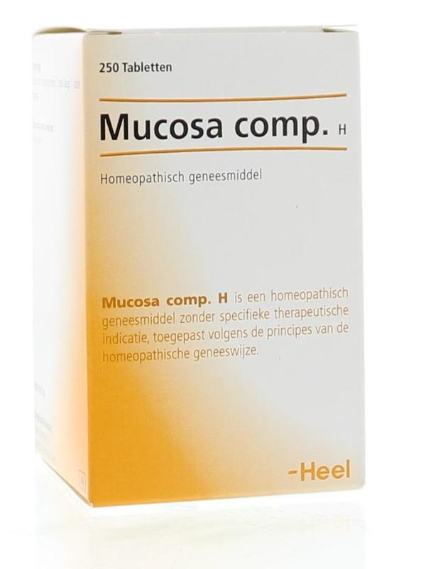 Heel Mucosa compositum H (250 Tab)