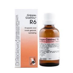 Reckeweg Grippe gastreu R6 (50 ml)