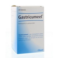 Heel Heel Magenmahlzeit (250 Tab)