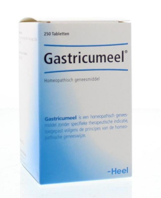 Heel Magenmahlzeit (250 Tab)