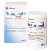 Heel Heel Traumeel S (250 Tabletten)