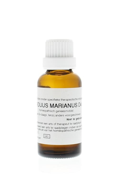 Homeoden Heel Blütenstandsboden D4 (30 Ml)